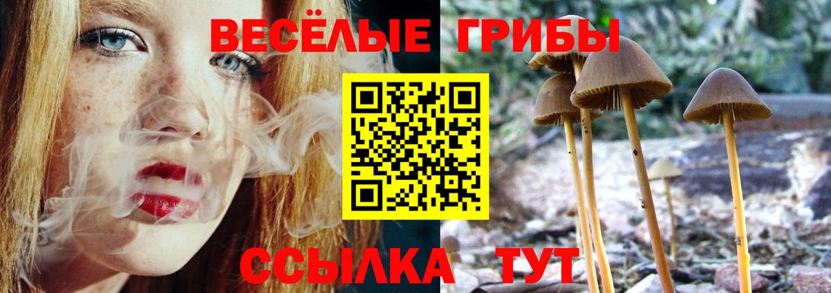 Псилоцибиновые грибы мицелий  Вход с VPN  Гуково 