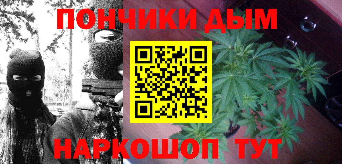 Шишки марихуана марихуана  Бошки марихуана планчик  Каннабис гибрид  Каннабис AK-47  Гуково  Вход с VPN 
